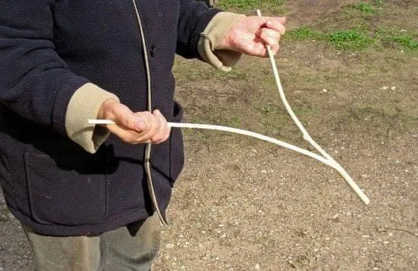 Uncovering the Mysteries of Water Dowsing